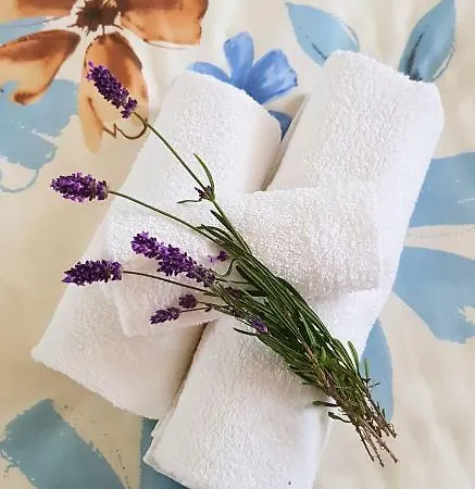 Apartman Ana Mošćenička Draga Exterior foto